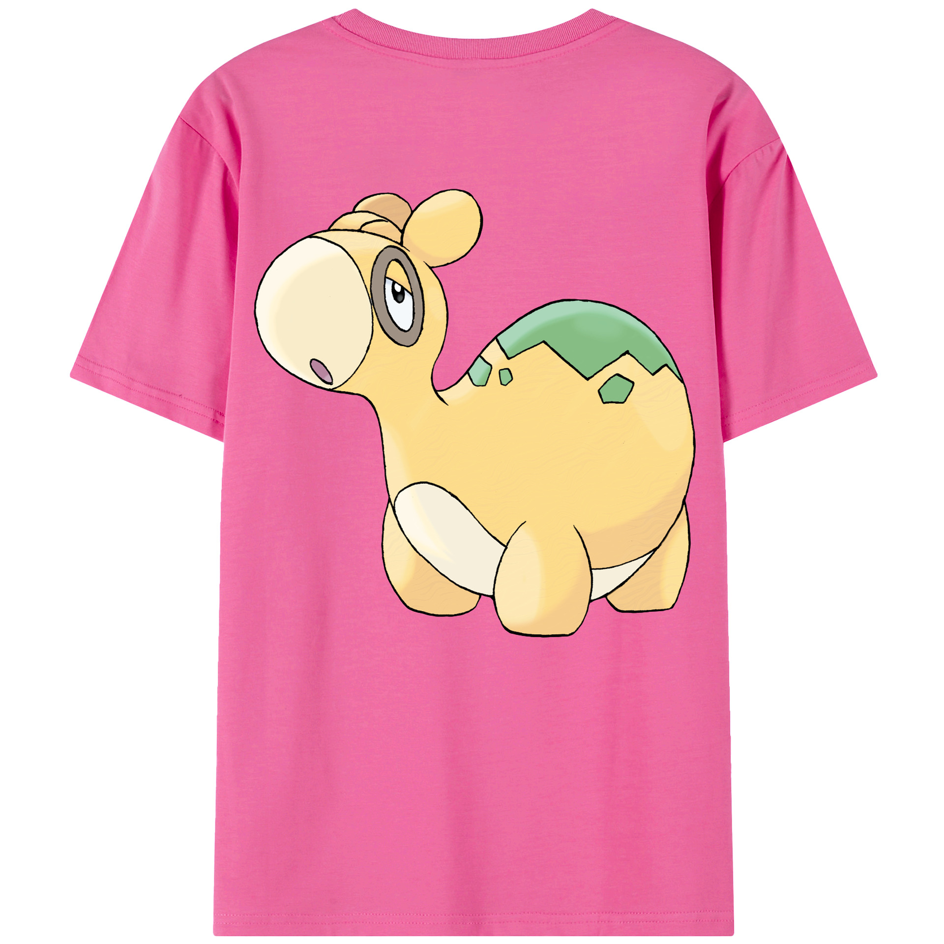 （画像用） ポケットモンスター Pokémon レディース半袖Tシャツ(バックプリント)